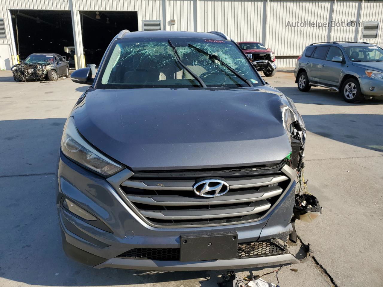 2016 Hyundai Tucson Limited Blue vin: KM8J3CA25GU230192