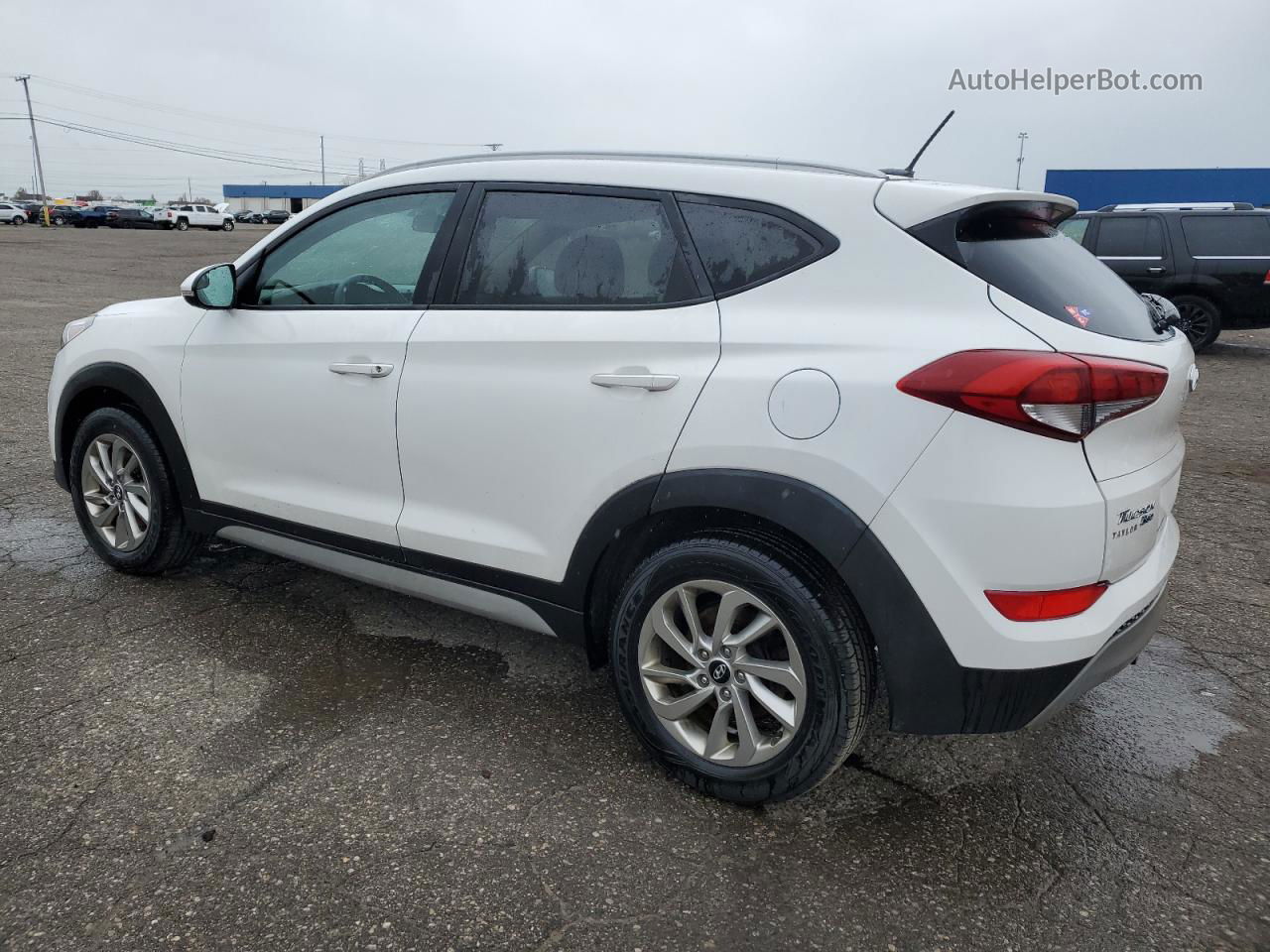 2017 Hyundai Tucson Limited Белый vin: KM8J3CA25HU368297