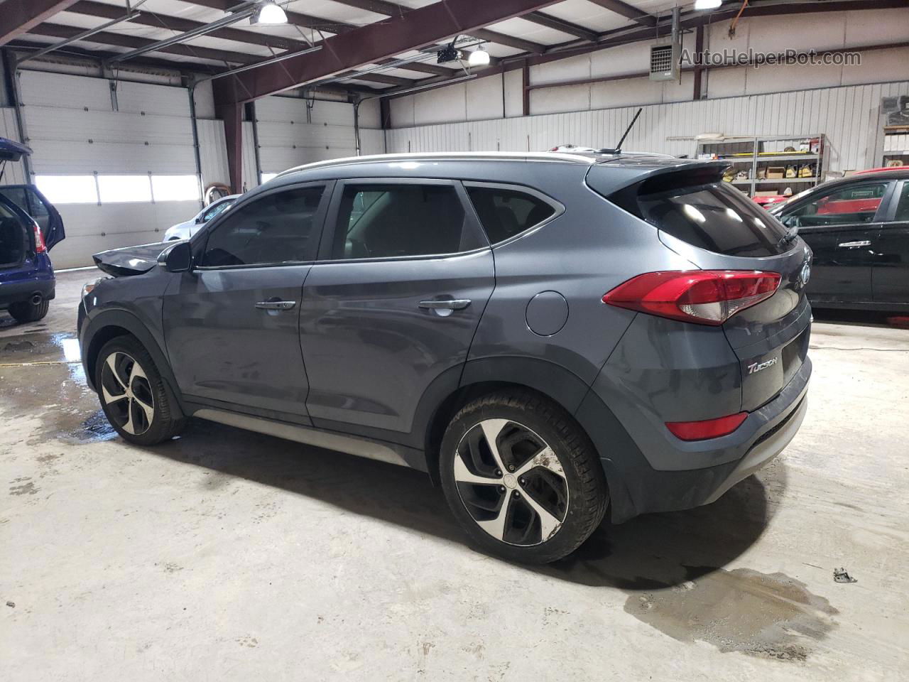 2017 Hyundai Tucson Limited Серый vin: KM8J3CA26HU341688