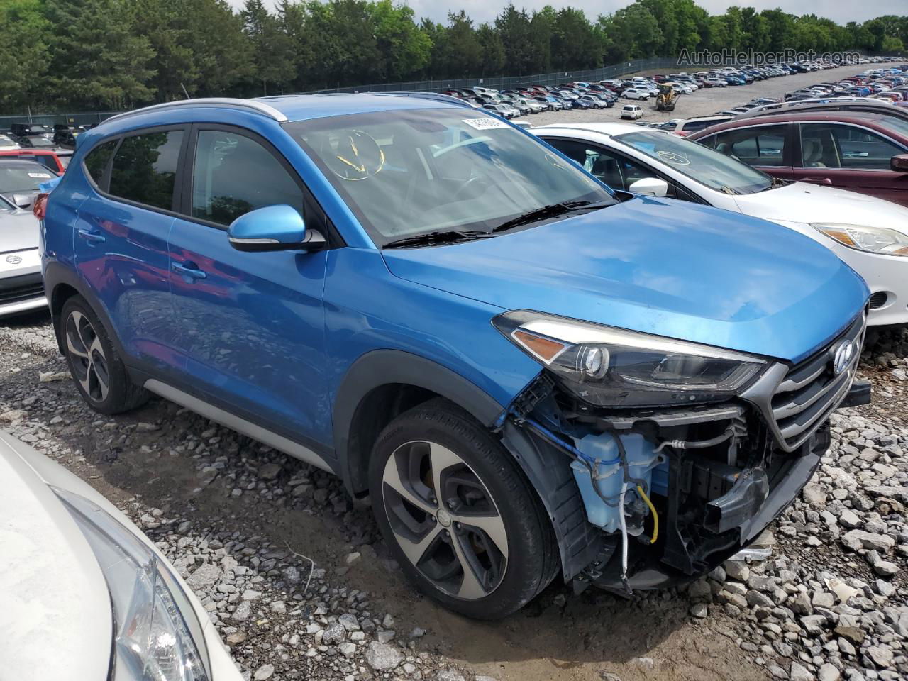 2017 Hyundai Tucson Limited Blue vin: KM8J3CA26HU462110