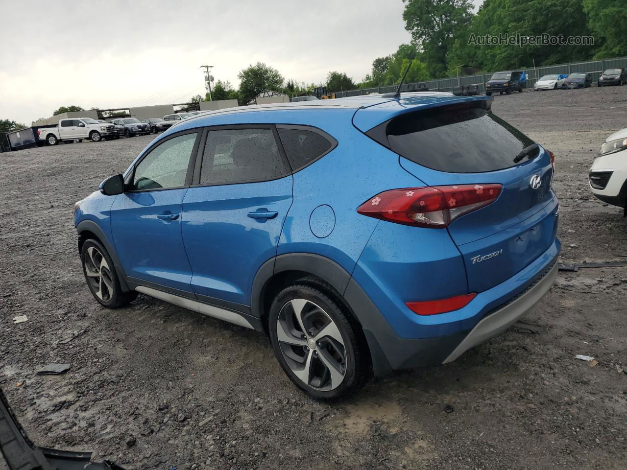 2017 Hyundai Tucson Limited Blue vin: KM8J3CA26HU462110