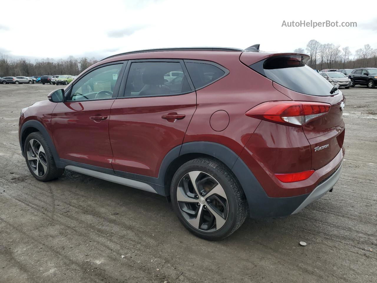 2018 Hyundai Tucson Value Красный vin: KM8J3CA26JU782341