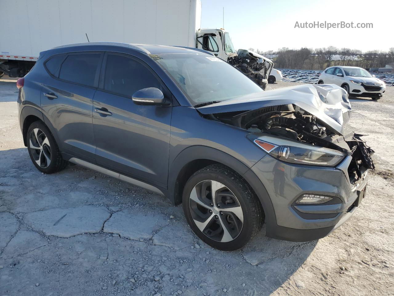 2017 Hyundai Tucson Limited Gray vin: KM8J3CA28HU335827