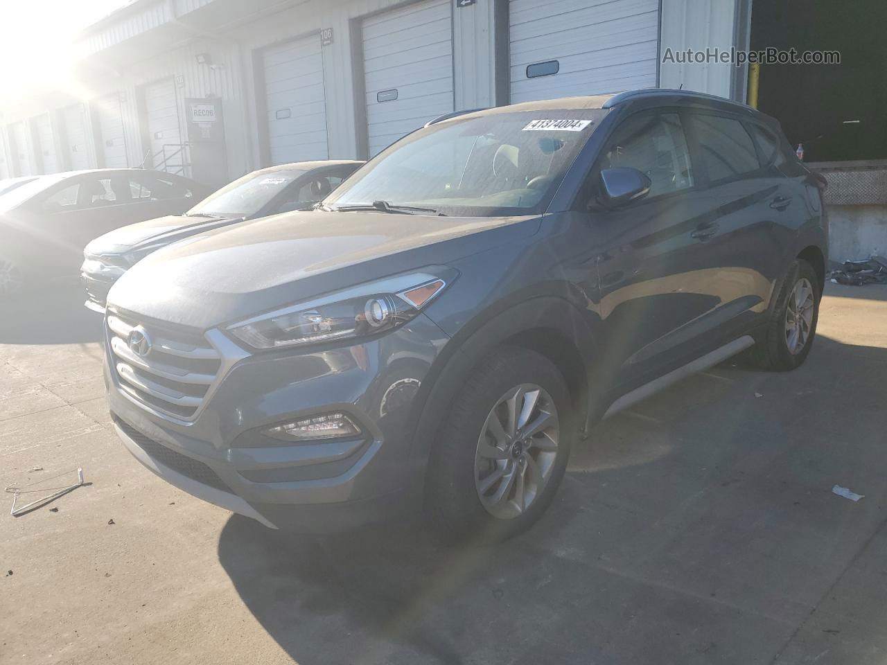 2017 Hyundai Tucson Limited Gray vin: KM8J3CA28HU398216