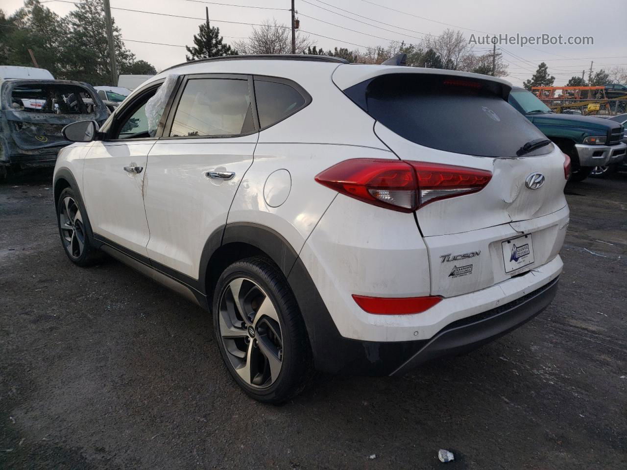 2016 Hyundai Tucson Limited Белый vin: KM8J3CA29GU266631