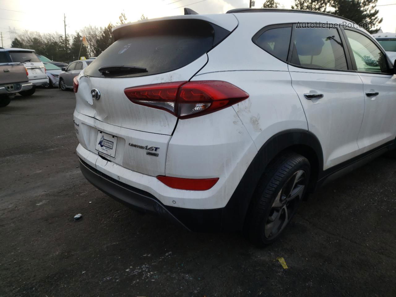 2016 Hyundai Tucson Limited Белый vin: KM8J3CA29GU266631