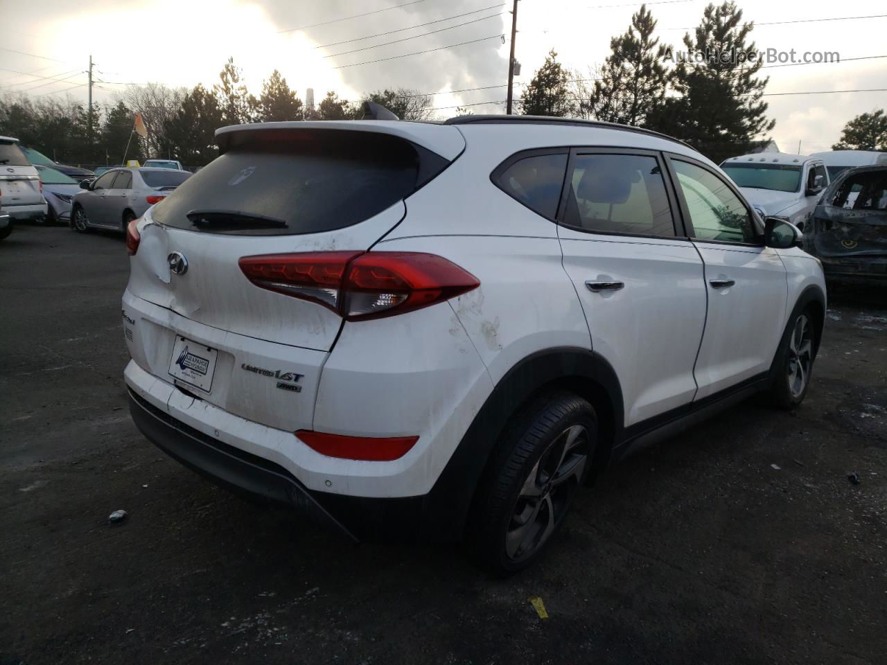 2016 Hyundai Tucson Limited White vin: KM8J3CA29GU266631