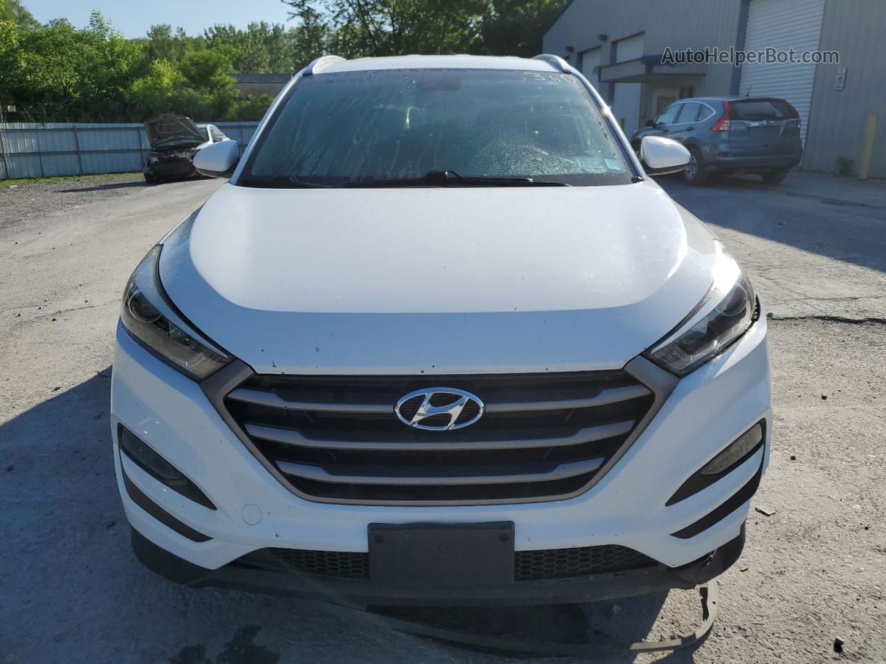 2016 Hyundai Tucson Limited Белый vin: KM8J3CA40GU060406