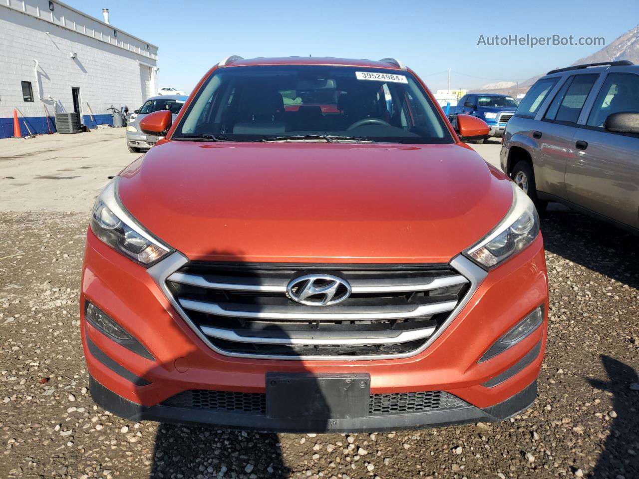 2017 Hyundai Tucson Limited Оранжевый vin: KM8J3CA40HU505387