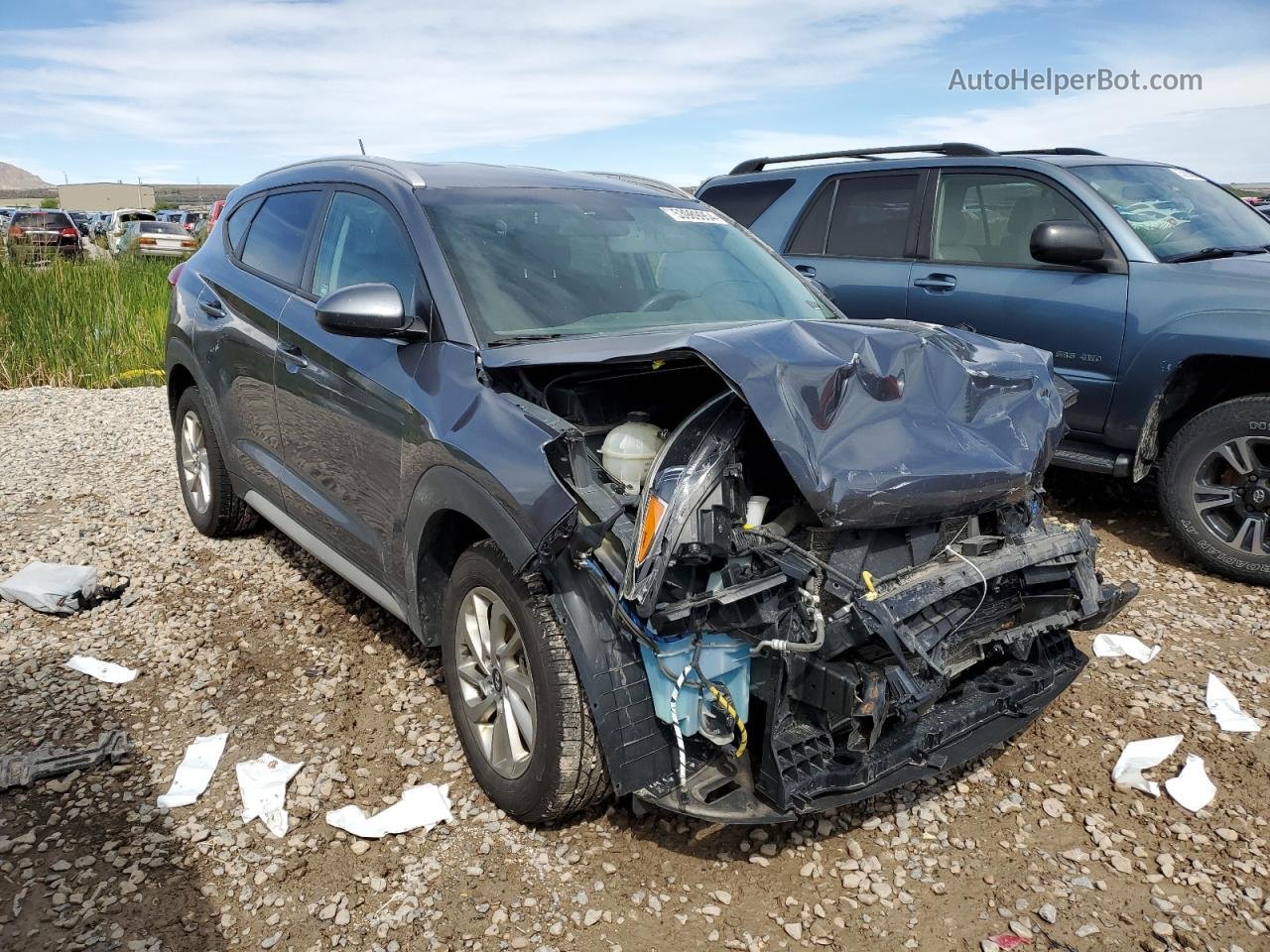 2017 Hyundai Tucson Limited Blue vin: KM8J3CA41HU412149