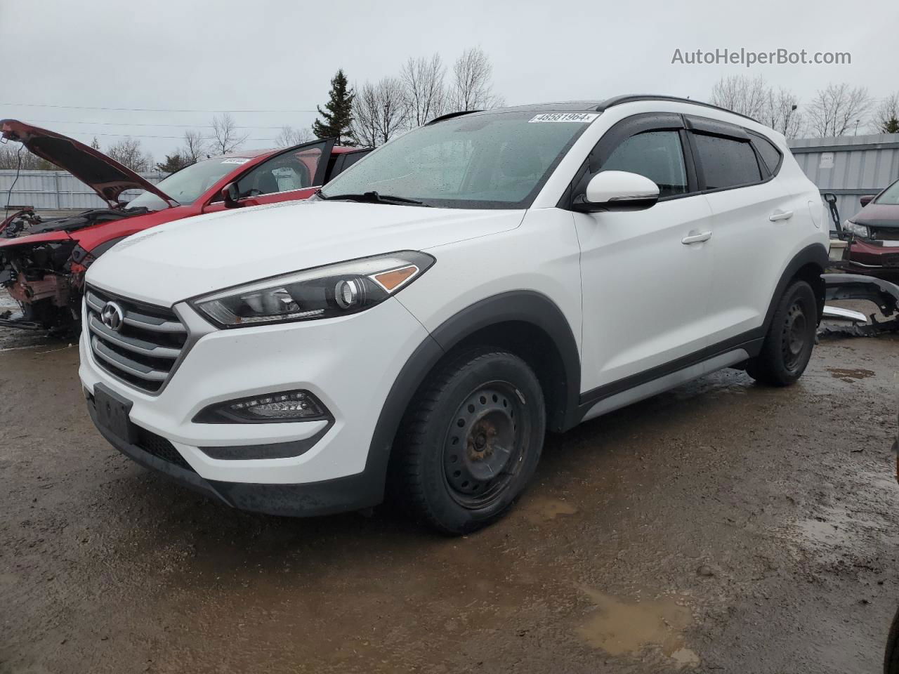 2017 Hyundai Tucson Limited Белый vin: KM8J3CA41HU441893