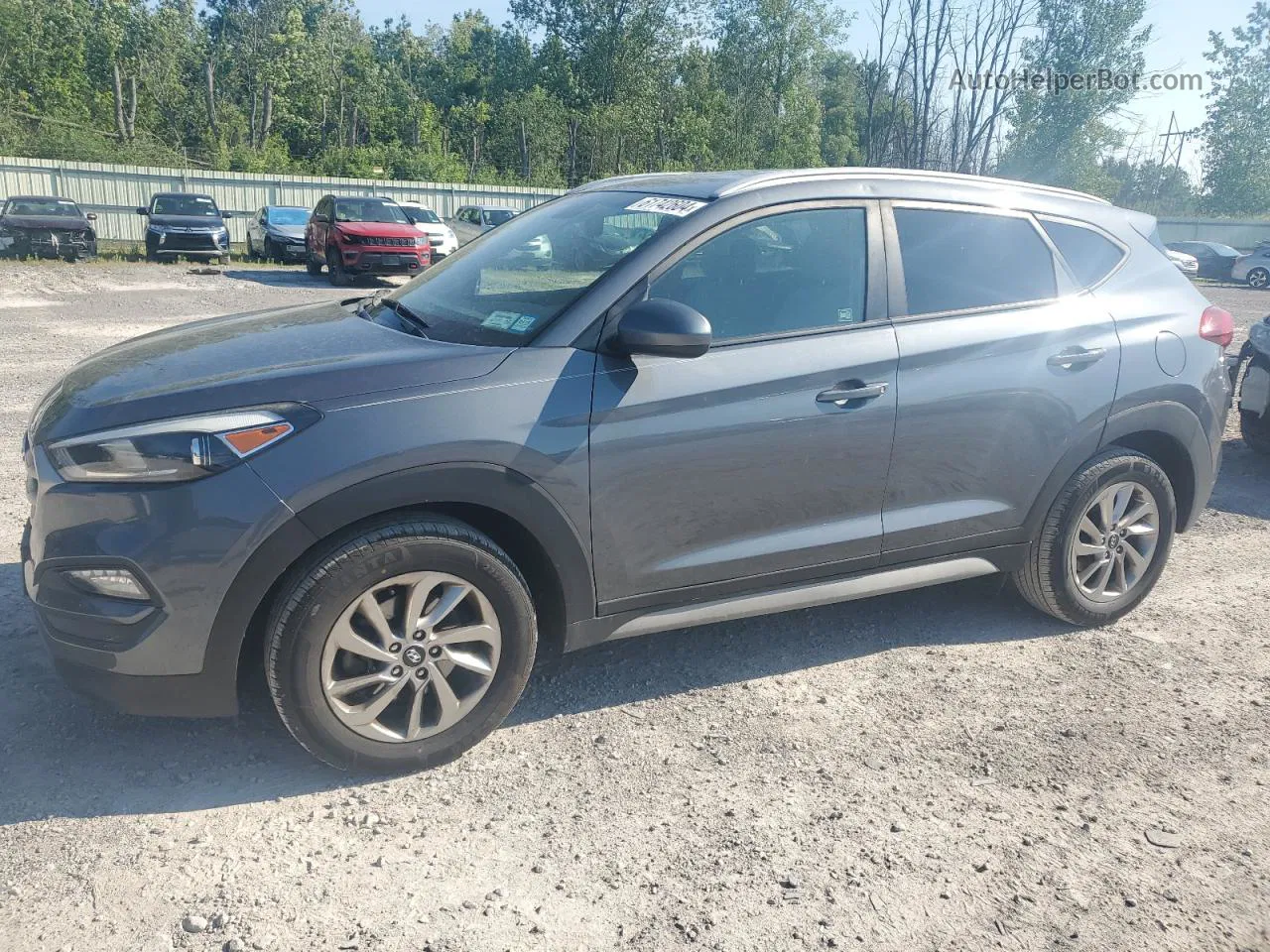 2017 Hyundai Tucson Limited Gray vin: KM8J3CA41HU494268