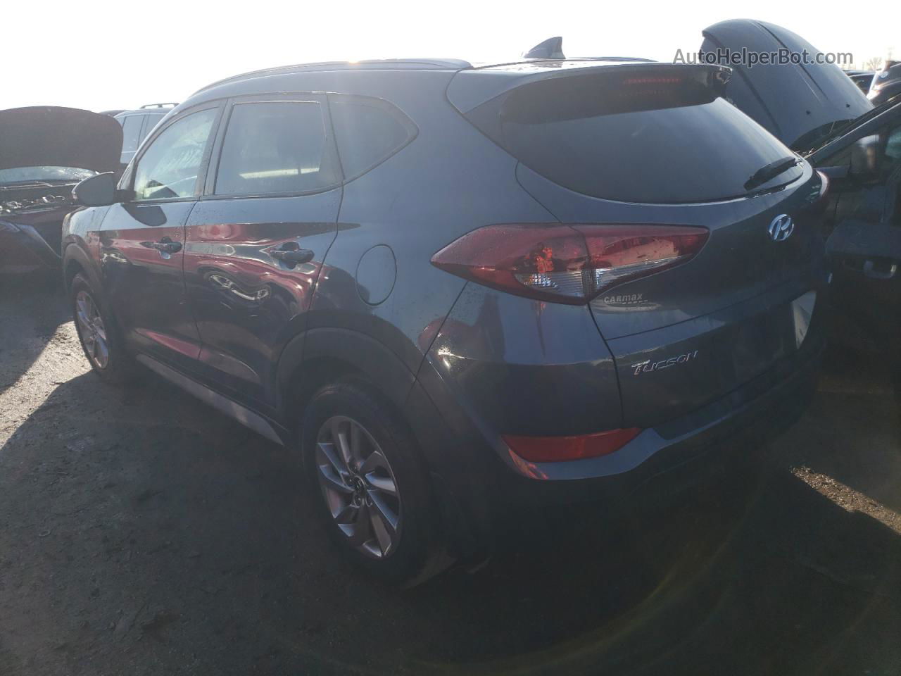 2017 Hyundai Tucson Limited Gray vin: KM8J3CA42HU421667