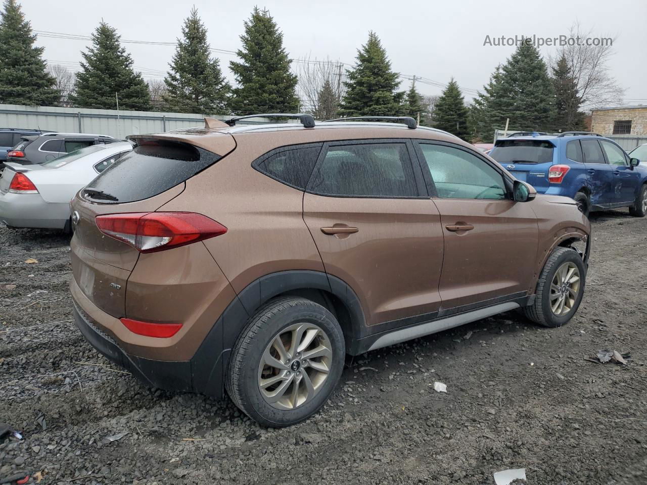 2017 Hyundai Tucson Limited Коричневый vin: KM8J3CA42HU431583