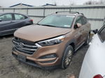 2017 Hyundai Tucson Limited Коричневый vin: KM8J3CA42HU431583