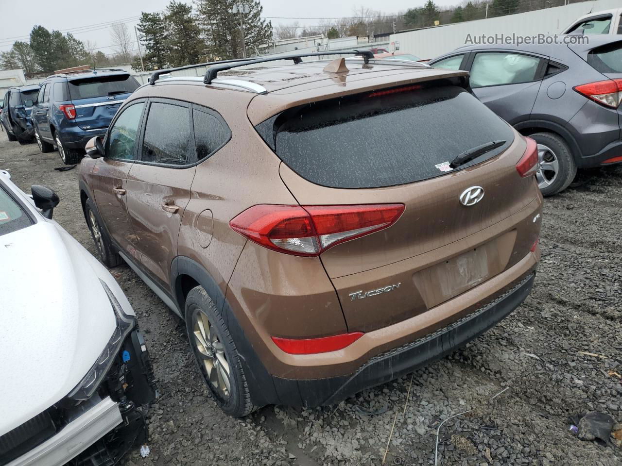 2017 Hyundai Tucson Limited Brown vin: KM8J3CA42HU431583