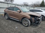 2017 Hyundai Tucson Limited Brown vin: KM8J3CA42HU431583