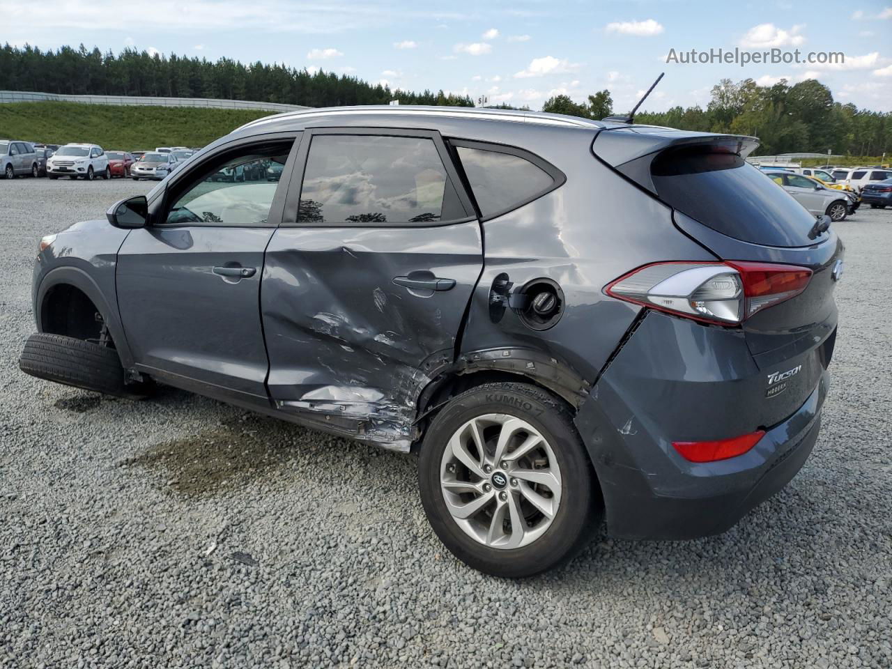 2017 Hyundai Tucson Limited Серый vin: KM8J3CA42HU445581