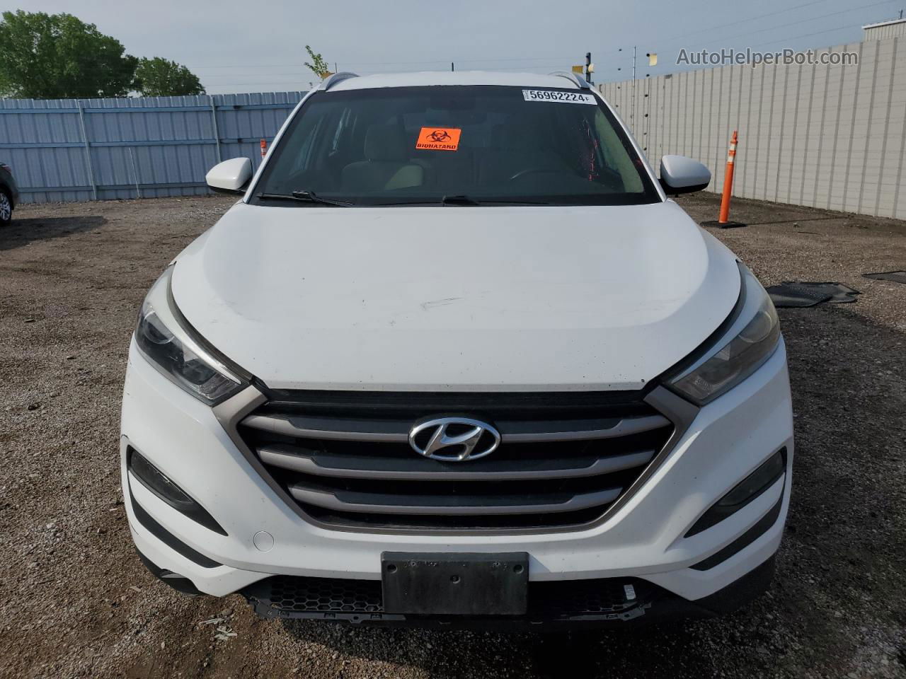 2016 Hyundai Tucson Limited White vin: KM8J3CA43GU245694