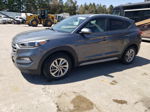 2017 Hyundai Tucson Limited Gray vin: KM8J3CA43HU417580