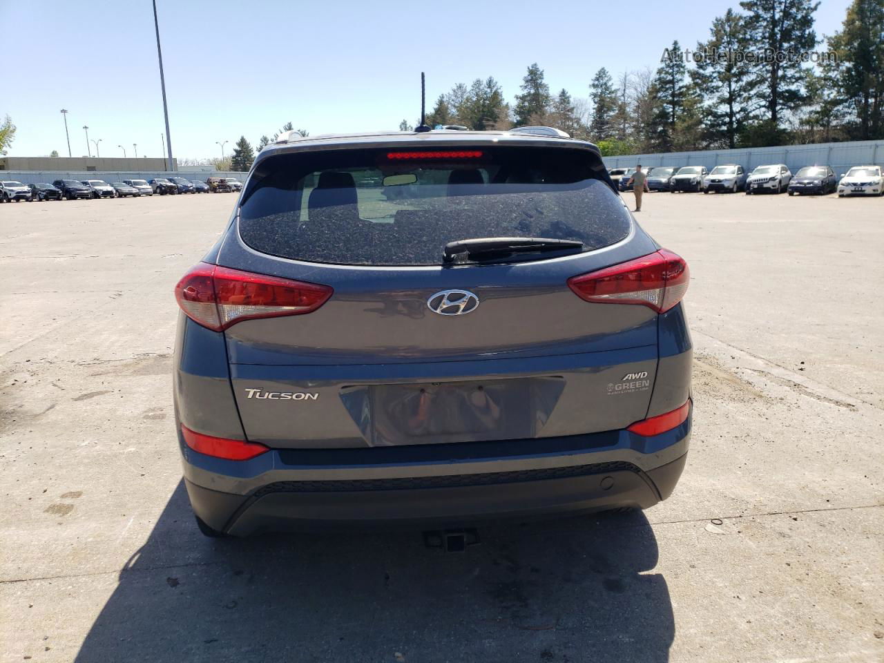 2017 Hyundai Tucson Limited Gray vin: KM8J3CA43HU417580