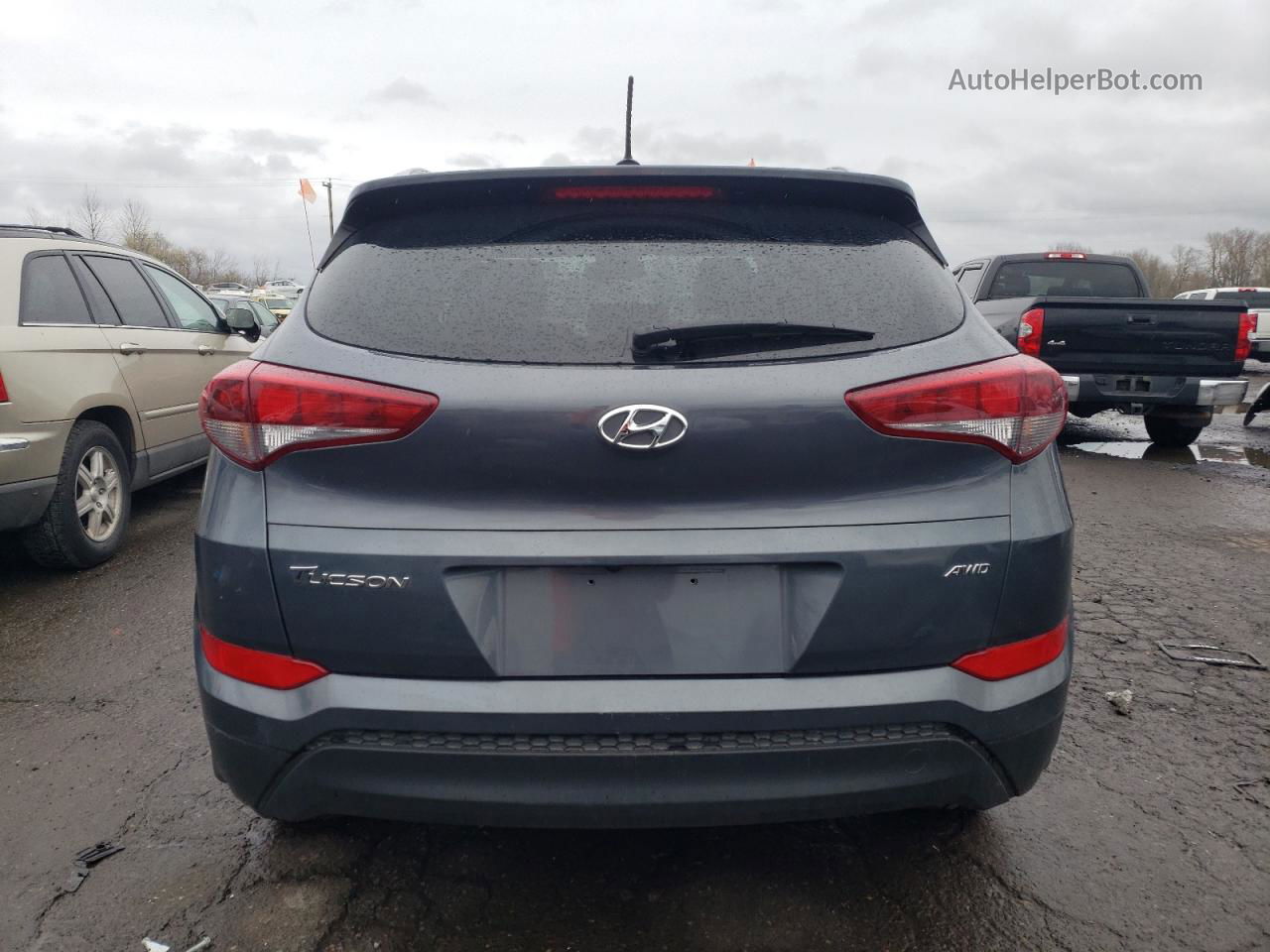 2017 Hyundai Tucson Limited Gray vin: KM8J3CA43HU499178