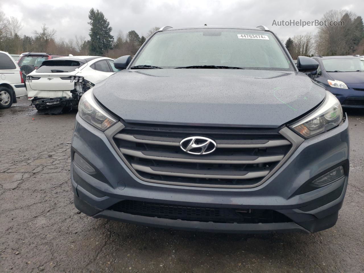 2017 Hyundai Tucson Limited Gray vin: KM8J3CA43HU499178