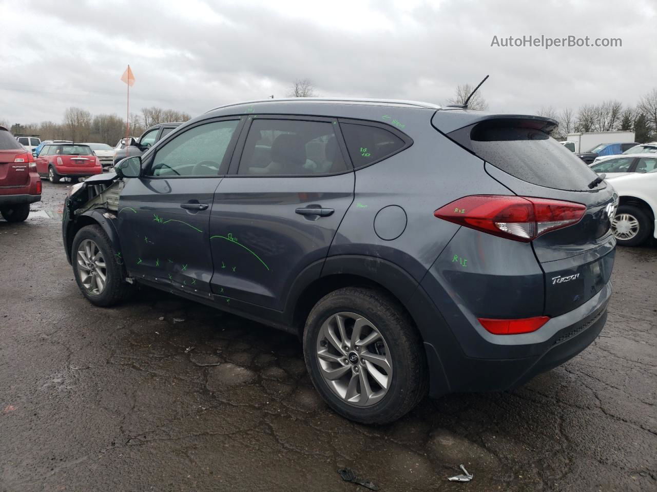 2017 Hyundai Tucson Limited Gray vin: KM8J3CA43HU499178