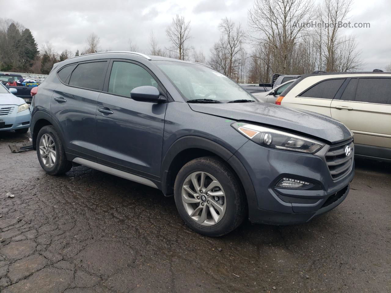 2017 Hyundai Tucson Limited Серый vin: KM8J3CA43HU499178