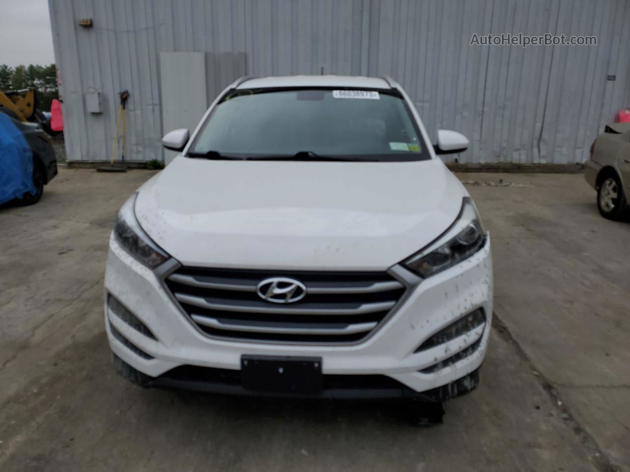 2017 Hyundai Tucson Limited Белый vin: KM8J3CA43HU519042