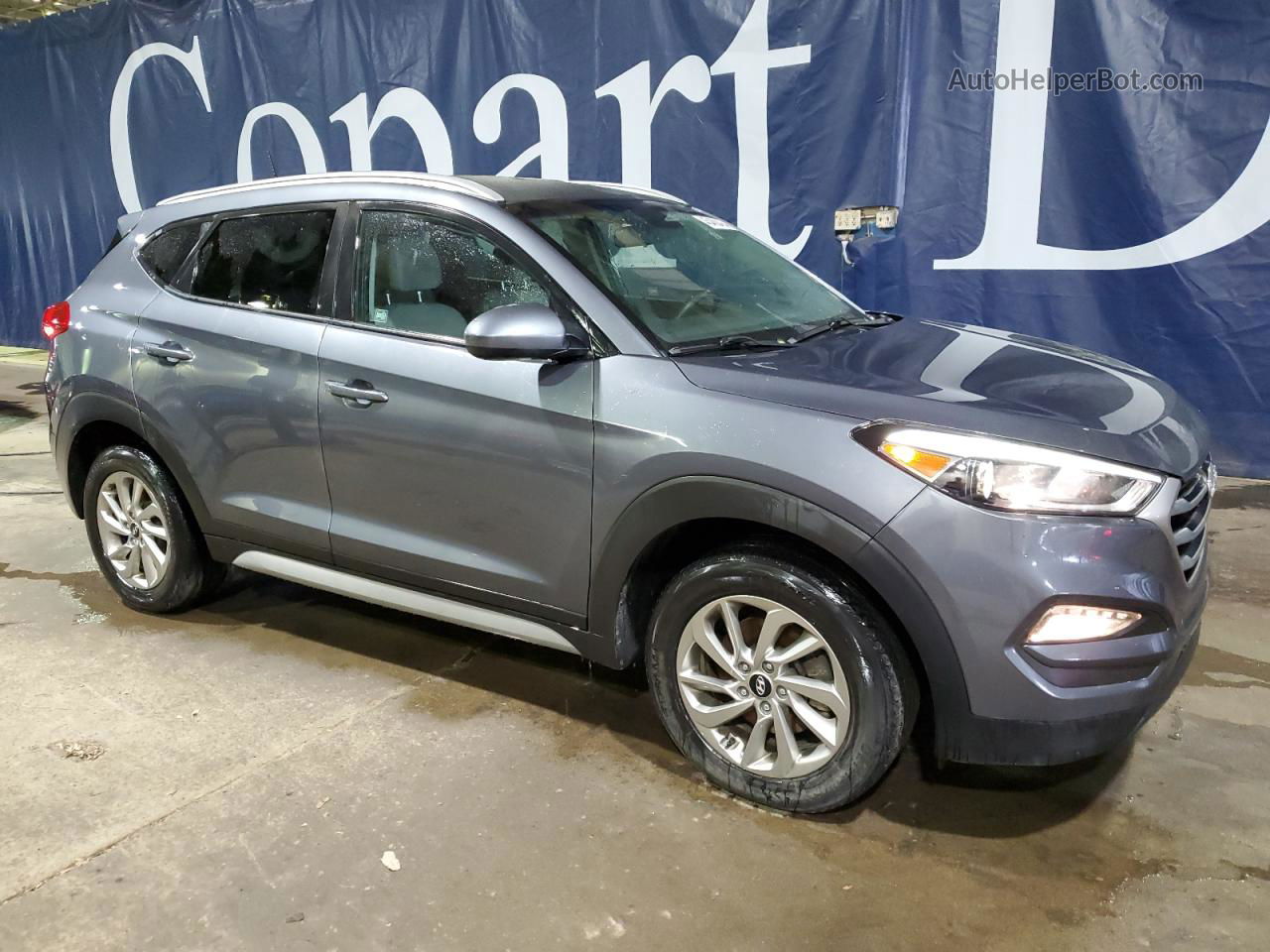 2017 Hyundai Tucson Limited Gray vin: KM8J3CA43HU533796