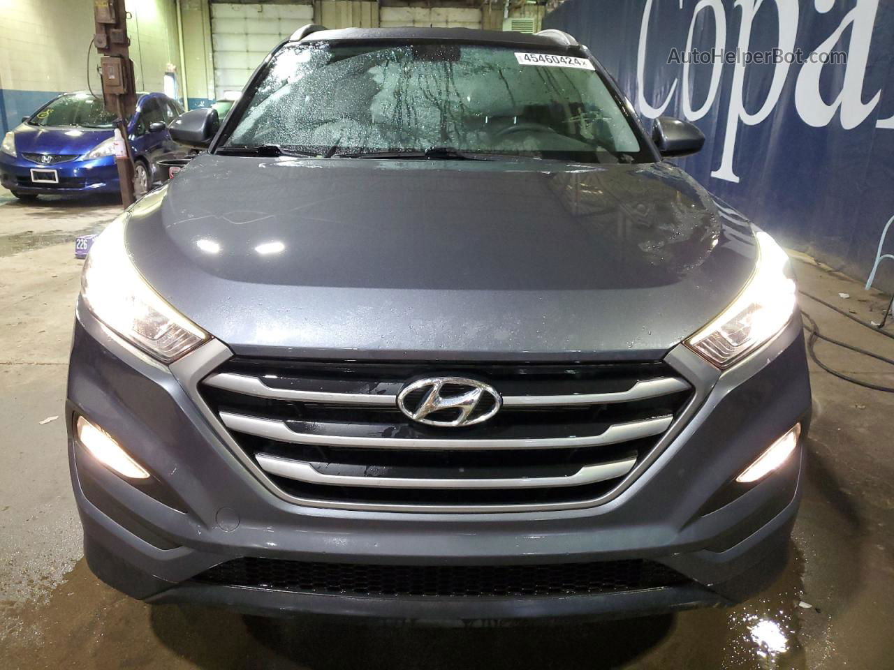 2017 Hyundai Tucson Limited Gray vin: KM8J3CA43HU533796