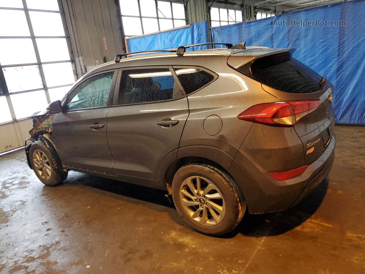 2017 Hyundai Tucson Limited Gray vin: KM8J3CA44HU445761