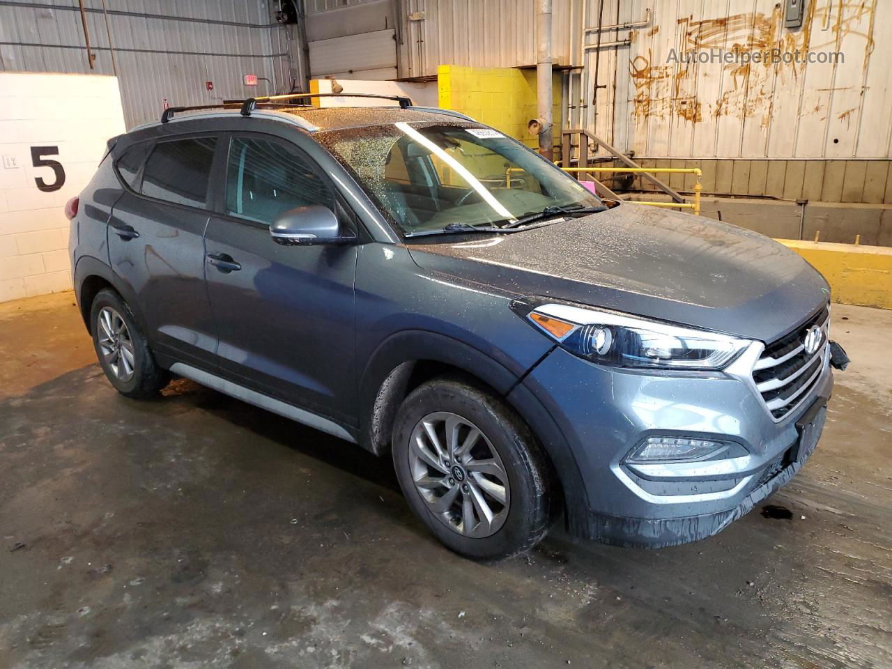 2017 Hyundai Tucson Limited Gray vin: KM8J3CA44HU445761