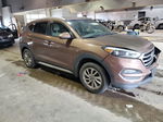 2017 Hyundai Tucson Limited Коричневый vin: KM8J3CA44HU495897