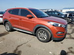 2017 Hyundai Tucson Limited Оранжевый vin: KM8J3CA45HU430170