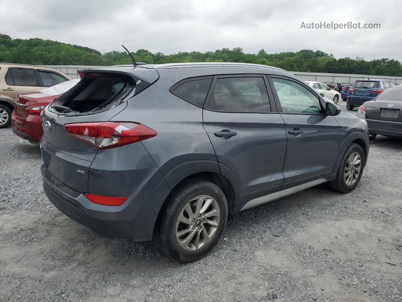 2017 Hyundai Tucson Limited Серый vin: KM8J3CA45HU536537