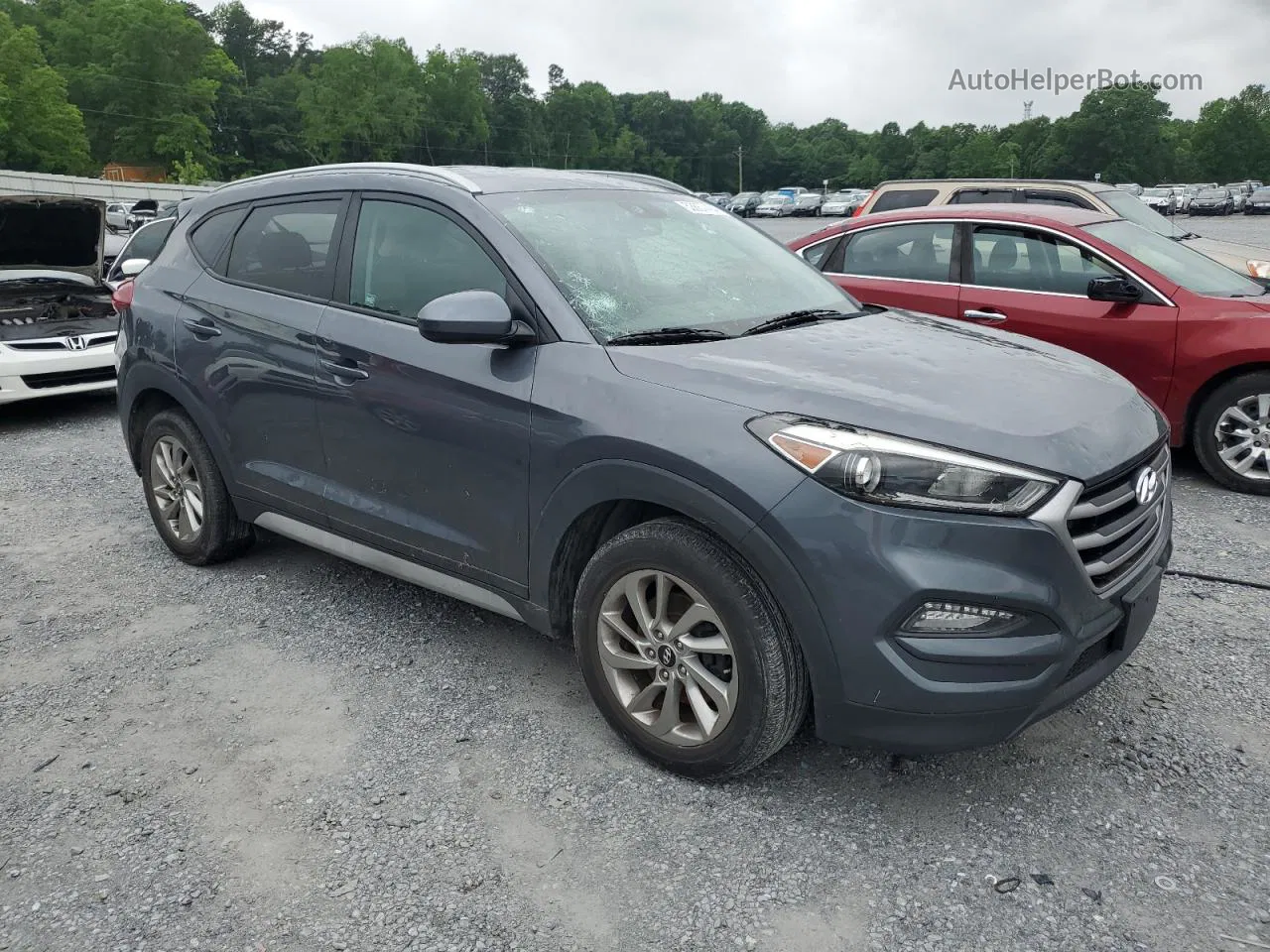 2017 Hyundai Tucson Limited Серый vin: KM8J3CA45HU536537