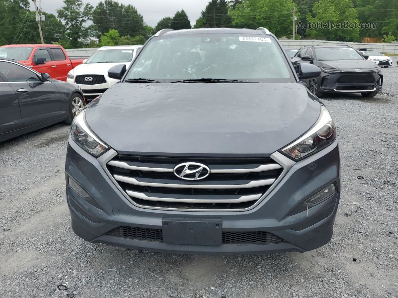 2017 Hyundai Tucson Limited Серый vin: KM8J3CA45HU536537