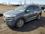 2017 Hyundai Tucson Limited Серый vin: KM8J3CA45HU572700