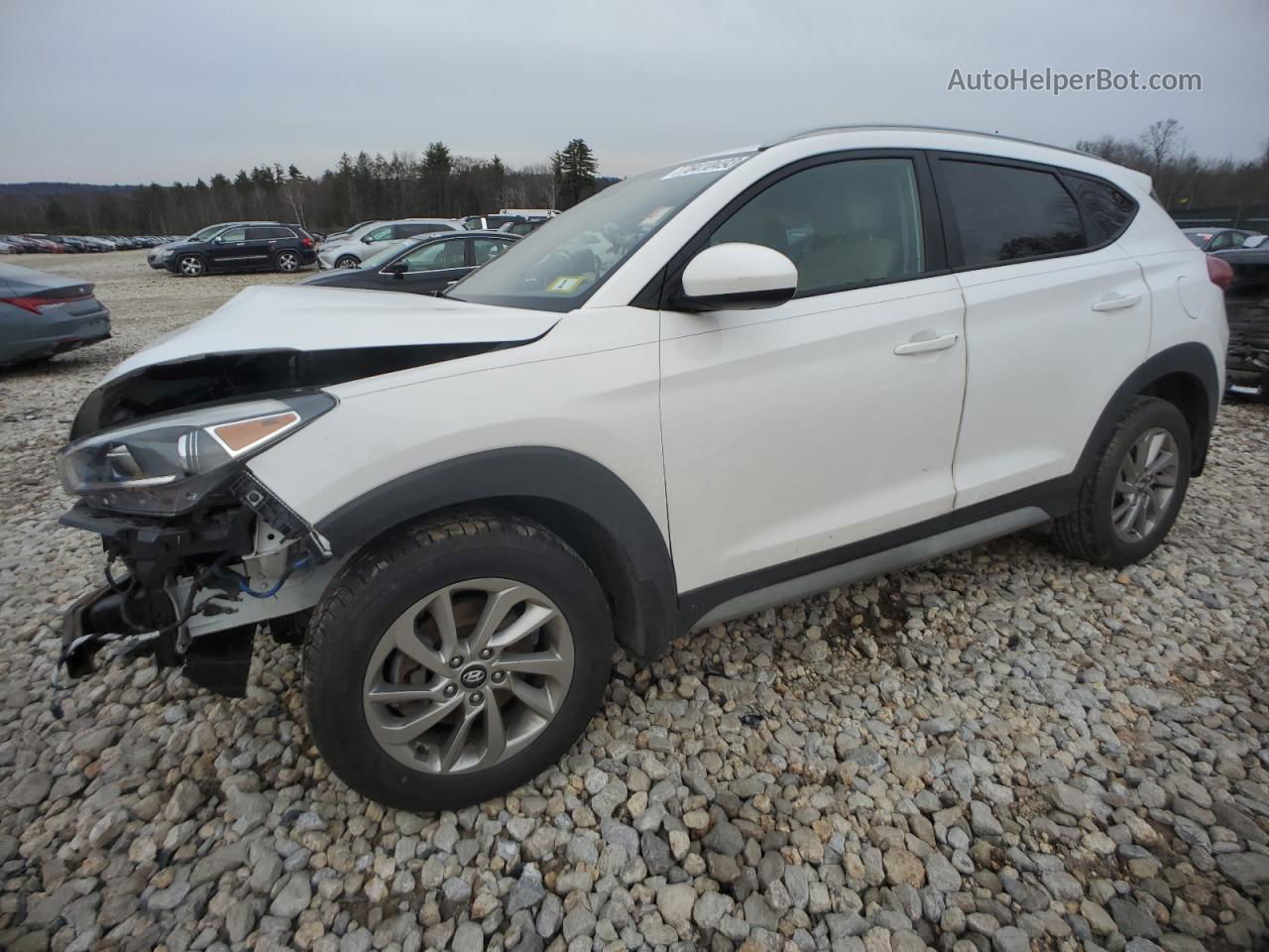 2017 Hyundai Tucson Limited Белый vin: KM8J3CA45HU586046