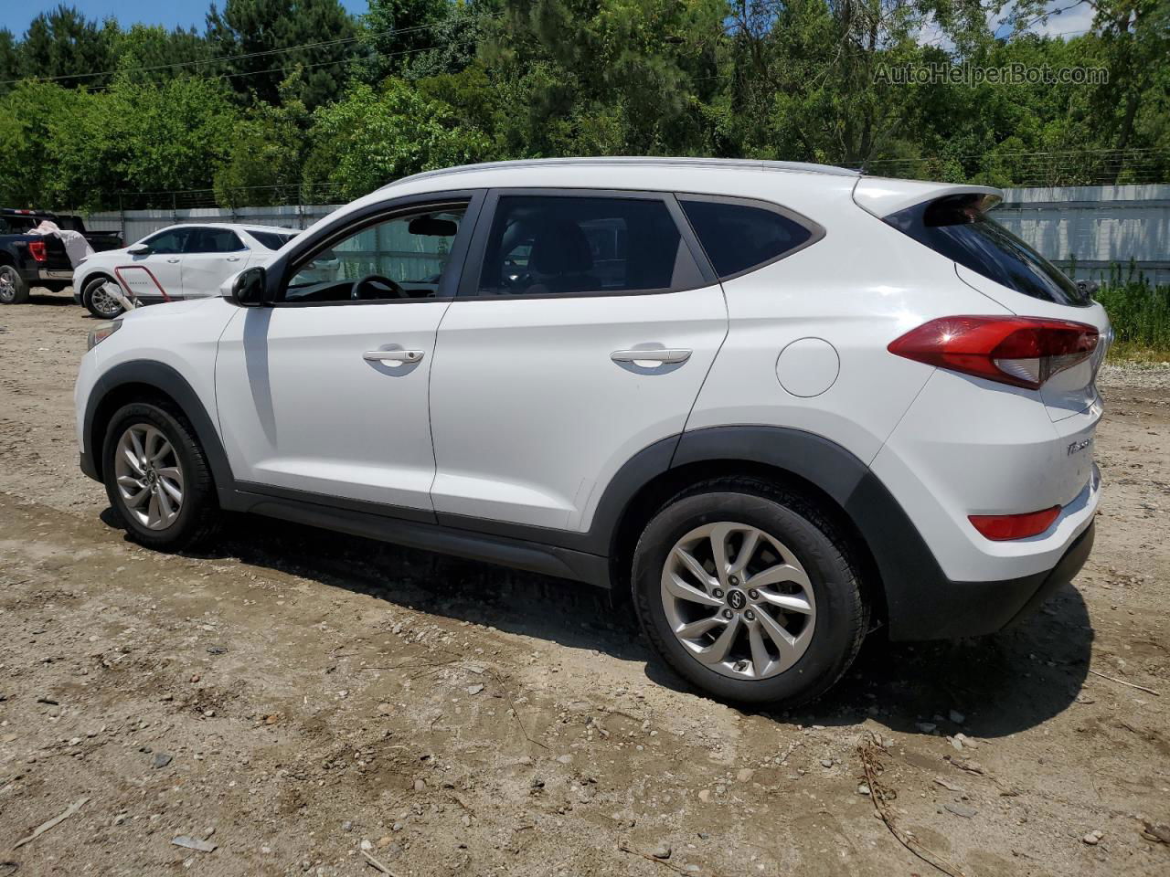 2016 Hyundai Tucson Limited White vin: KM8J3CA46GU073712