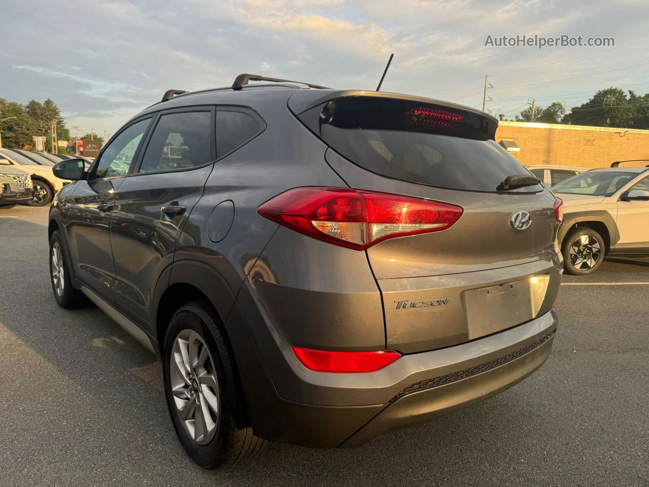 2017 Hyundai Tucson Limited Cream vin: KM8J3CA46HU289044