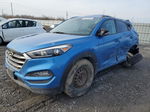 2017 Hyundai Tucson Limited Blue vin: KM8J3CA46HU303928