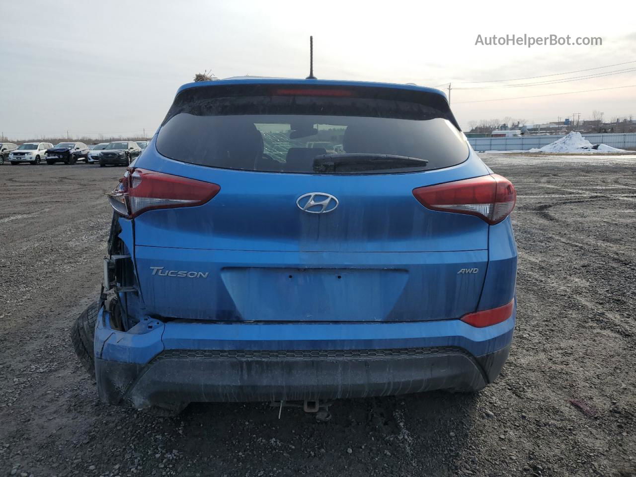 2017 Hyundai Tucson Limited Blue vin: KM8J3CA46HU303928