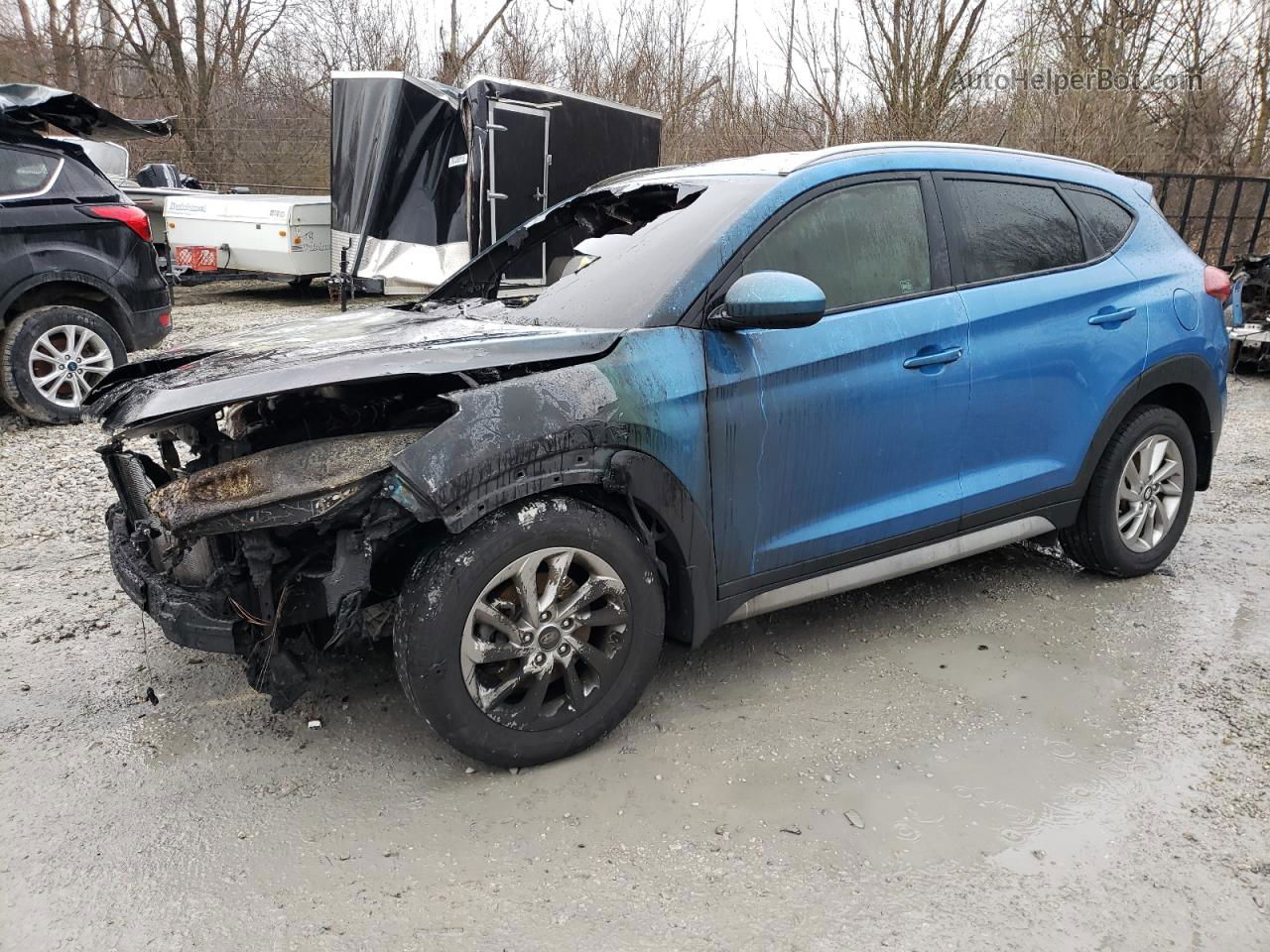 2017 Hyundai Tucson Limited Синий vin: KM8J3CA46HU498977