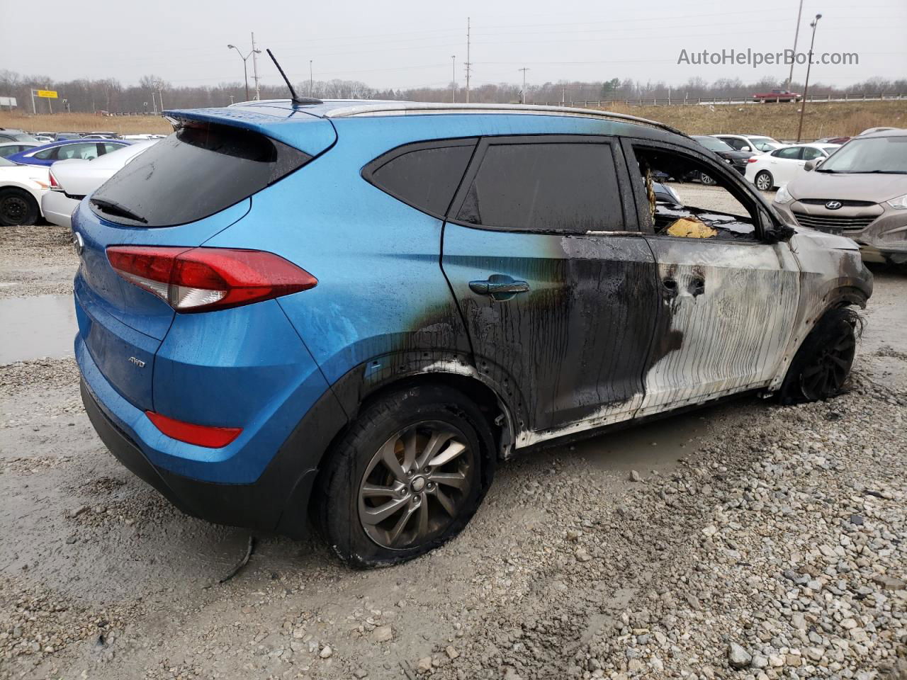 2017 Hyundai Tucson Limited Синий vin: KM8J3CA46HU498977