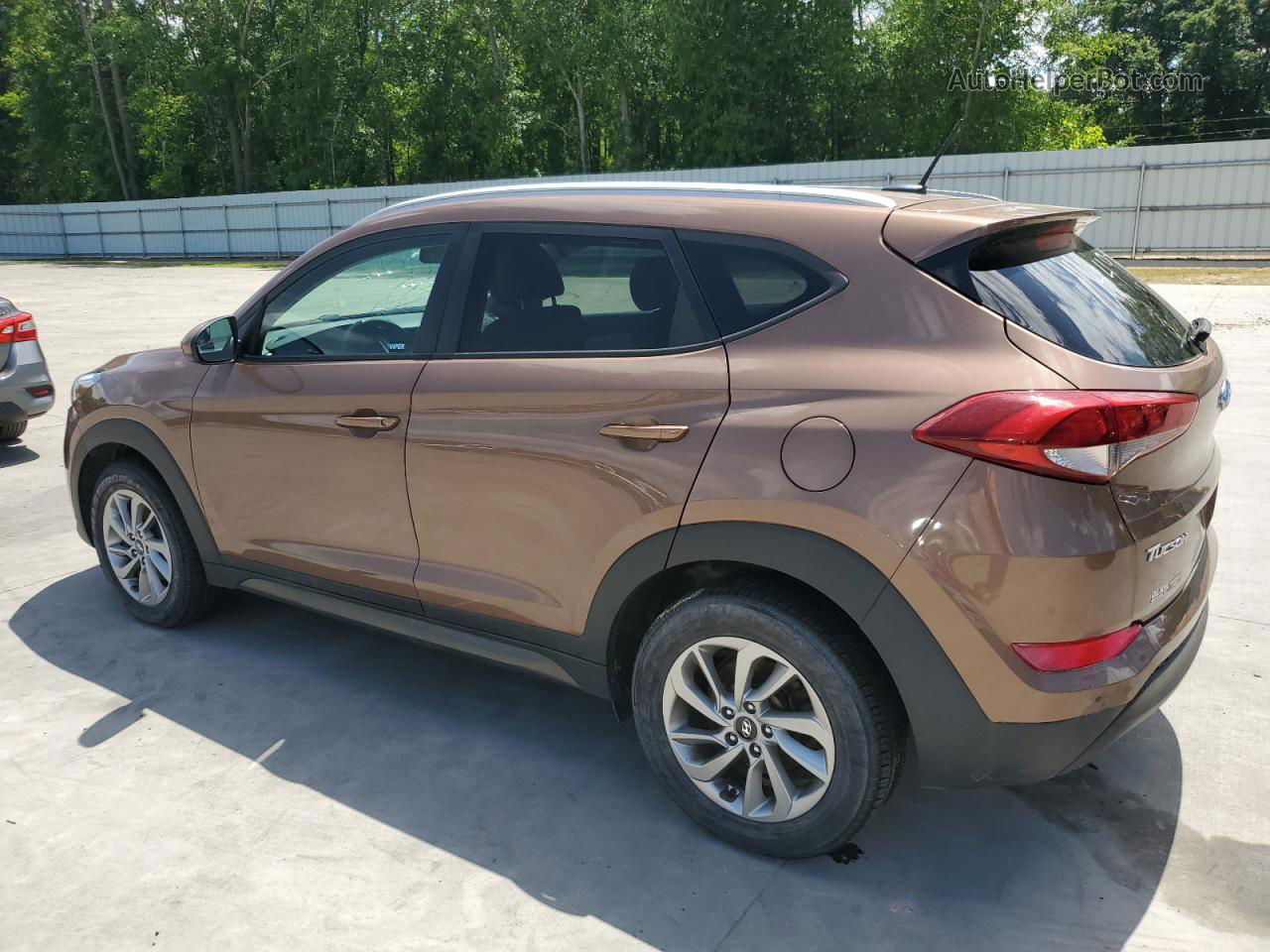 2016 Hyundai Tucson Limited Коричневый vin: KM8J3CA47GU073766