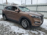 2016 Hyundai Tucson Limited Коричневый vin: KM8J3CA47GU139278