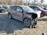 2017 Hyundai Tucson Limited Brown vin: KM8J3CA48HU438554